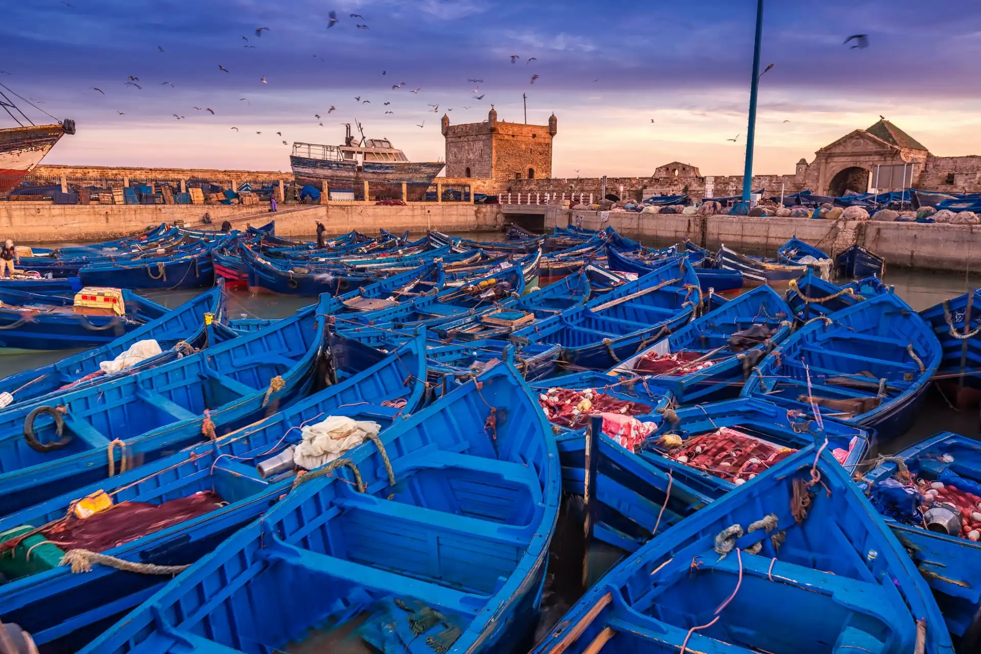 Excursión de un Día a Essaouira desde Casablanca: Medina fortificada y vistas al océano