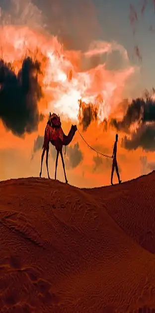 Paisajes de Marruecos con dunas doradas al atardecer