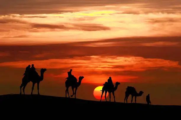 Safari en Camello y Noche en el Desierto del Sahara